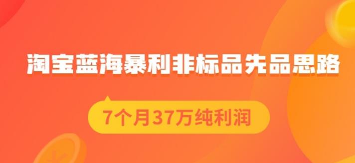 盗坤淘宝蓝海暴利非标品先品思路，7个月37万纯利润，压箱干货分享！【付费文章】-问小徐资源库