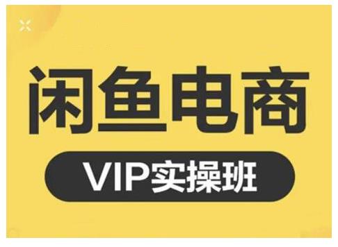 闲鱼电商零基础入门到进阶VIP实战课程，帮助你掌握闲鱼电商所需的各项技能-问小徐资源库