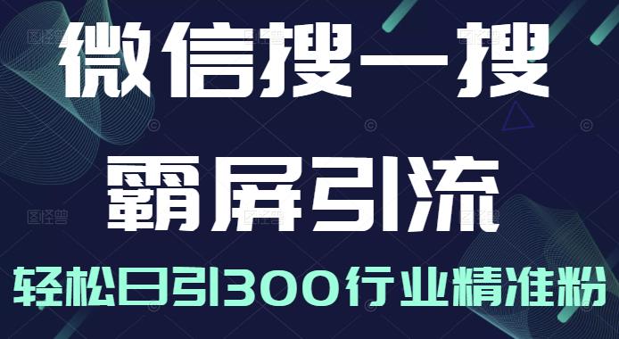 微信搜一搜霸屏引流课，打造被动精准引流系统，轻松日引300行业精准粉【无水印】-问小徐资源库