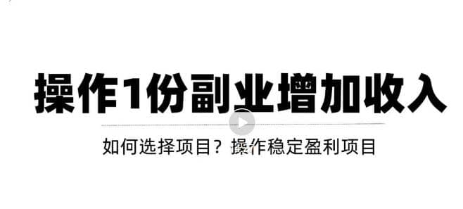 新手如何通过操作副业增加收入，从项目选择到玩法分享！【视频教程】-问小徐资源库