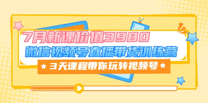 微信视频号直播带货训练营，3天课程带你玩转视频号：7月新课价值3980-问小徐资源库