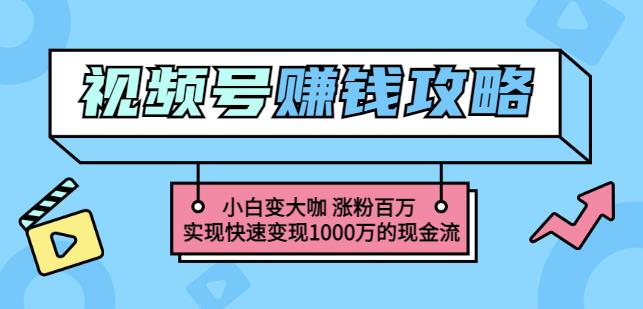 玩转微信视频号赚钱：小白变大咖涨粉百万实现快速变现1000万的现金流-问小徐资源库