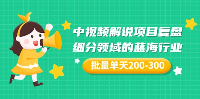 某付费文章：中视频解说项目复盘：细分领域的蓝海行业 批量单天200-300收益-问小徐资源库