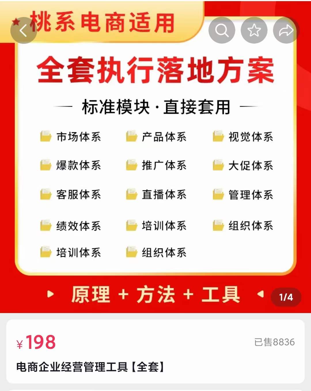 外面卖198·电商企业经营管理工具：全套执行落地方案 标准模块·直接套用-问小徐资源库