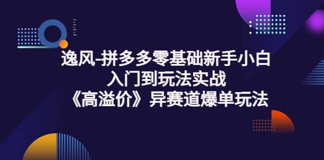 拼多多零基础新手小白入门到玩法实战《高溢价》异赛道爆单玩法实操课-问小徐资源库