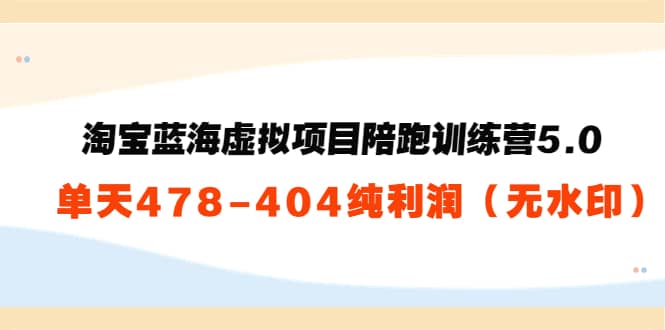 淘宝蓝海虚拟项目陪跑训练营5.0：单天478纯利润（无水印）-问小徐资源库