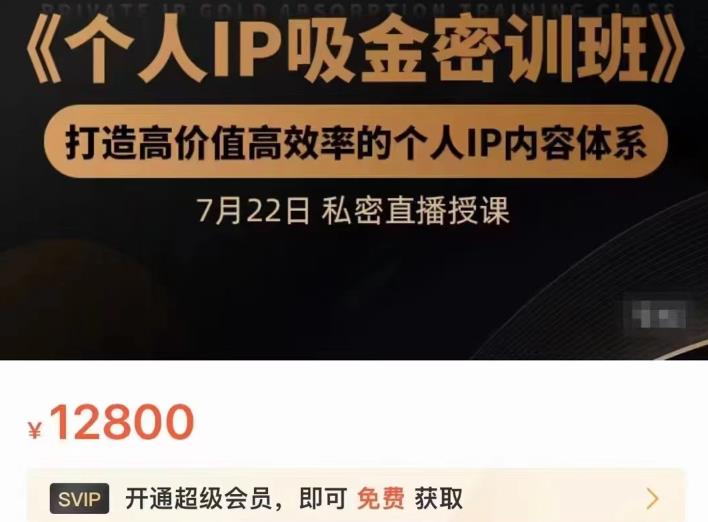 个人IP吸金密训班，打造高价值高效率的个人IP内容体系（价值12800元）-问小徐资源库