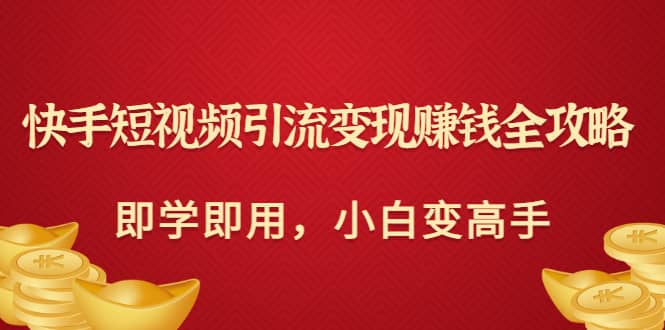 快手短视频引流变现赚钱全攻略：即学即用，小白变高手（价值980元）-问小徐资源库