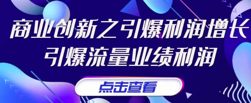 《商业创新之引爆利润增长》引爆流量业绩利润-问小徐资源库