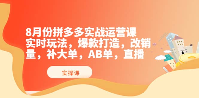 8月份拼多多实战运营课，实时玩法，爆款打造，改销量，补大单，AB单，直播-问小徐资源库