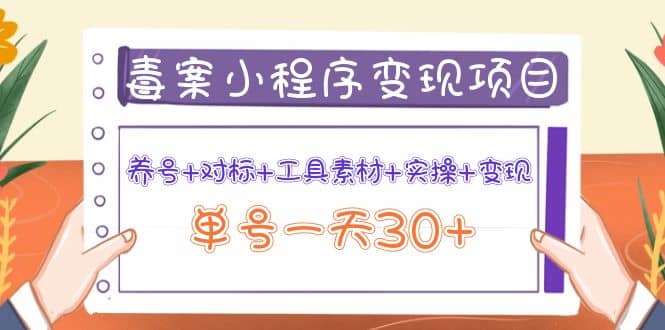 毒案小程序变现项目：养号+对标+工具素材+实操+变现-问小徐资源库