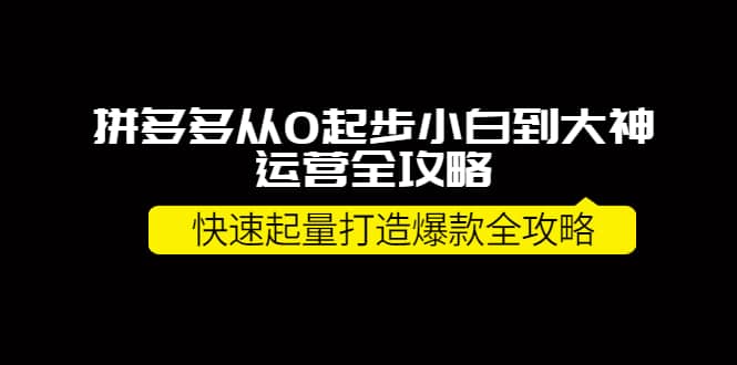 拼多多从0起步小白到大神运营全攻略-问小徐资源库