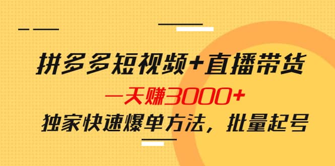 拼多多短视频+直播带货，一天赚3000+独家快速爆单方法，批量起号-问小徐资源库