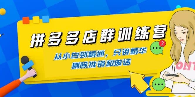 拼多多店群训练营：从小白到精通，只讲精华，剔除推销和废话-问小徐资源库