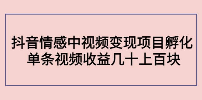 抖音情感中视频变现项目孵化-问小徐资源库