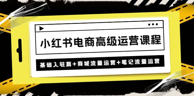 小红书电商高级运营课程：基础入驻篇+商城流量运营+笔记流量运营-问小徐资源库