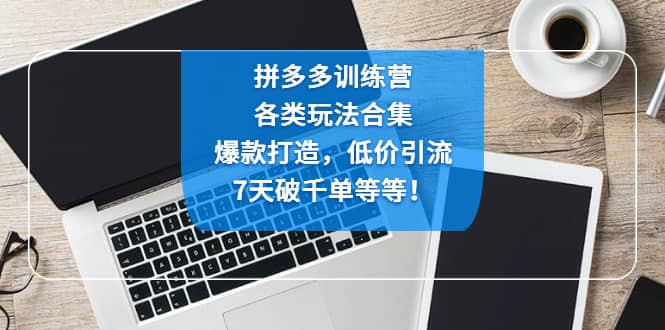 拼多多训练营：各玩法合集，爆款打造，低价引流，7天破千单等等-问小徐资源库