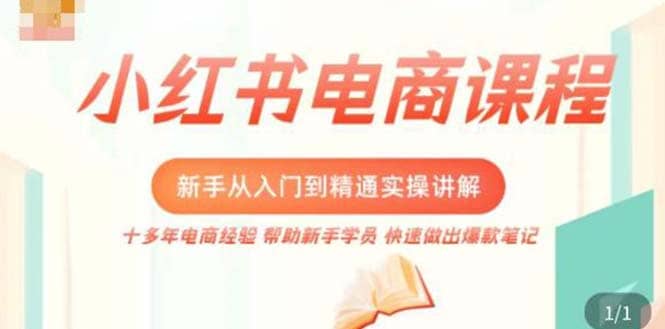 小红书电商新手入门到精通实操课，从入门到精通做爆款笔记，开店运营-问小徐资源库