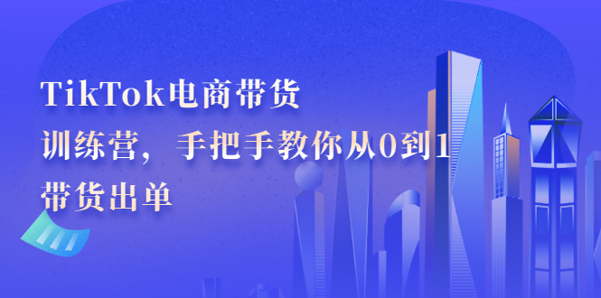 TikTok电商带货训练营，手把手教你从0到1带货出单-问小徐资源库