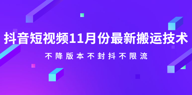 抖音短视频11月份最新搬运技术，不降版本不封抖不限流！【视频课程】-问小徐资源库