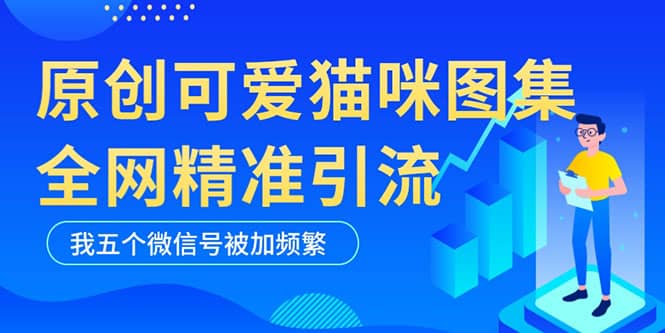 黑科技纯原创可爱猫咪图片，全网精准引流，实操5个VX号被加频繁-问小徐资源库