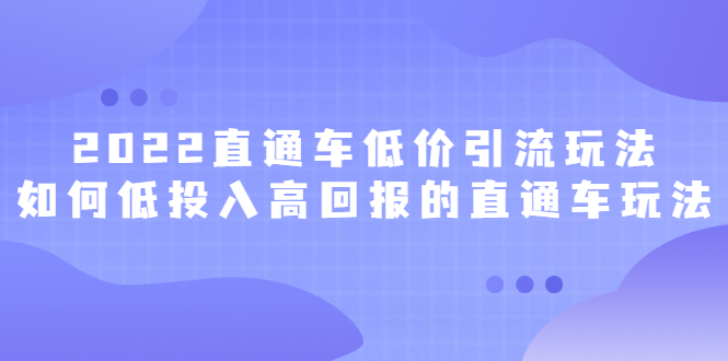 2022直通车低价引流玩法，教大家如何低投入高回报的直通车玩法-问小徐资源库