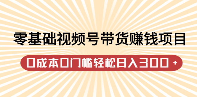 零基础视频号带货赚钱项目，0成本0门槛轻松日入300+【视频教程】-问小徐资源库