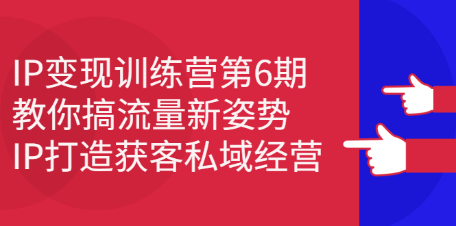 IP变现训练营第6期：教你搞流量新姿势，IP打造获客私域经营-问小徐资源库