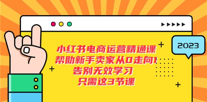 小红书电商·运营精通课，帮助新手卖家从0走向1 告别无效学习（7节视频课）-问小徐资源库