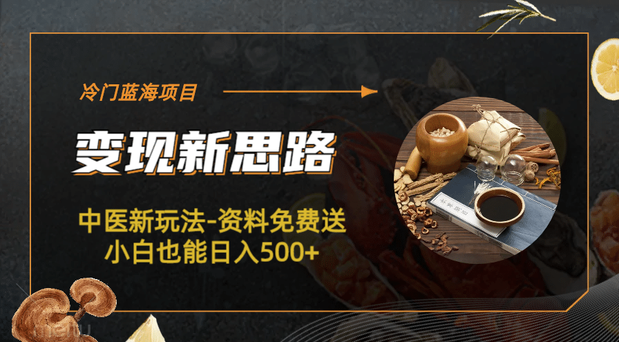 冷门蓝海项目-中医新玩法-冷门蓝海项目-中医新玩法-资料免费送小白也能日入500+500+-问小徐资源库