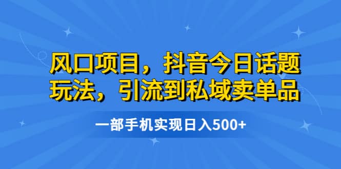 风口项目，抖音今日话题玩法，引流到私域卖单品，一部手机实现日入500+-问小徐资源库