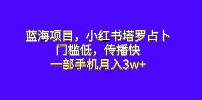 蓝海项目，小红书塔罗占卜，门槛低，传播快，一部手机月入3w+-问小徐资源库