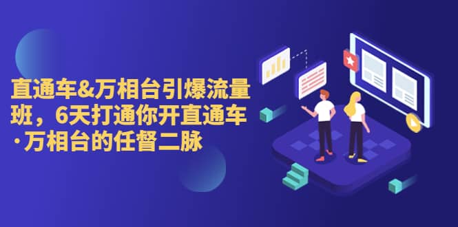 直通车+万相台引爆流量班，6天打通你开直通车·万相台的任督 二脉-问小徐资源库