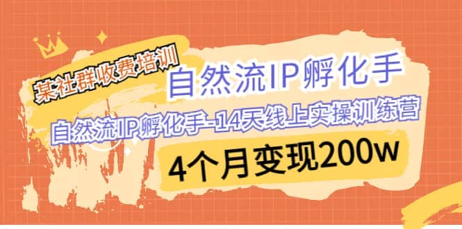 某社群收费培训：自然流IP 孵化手-14天线上实操训练营 4个月变现200w-问小徐资源库