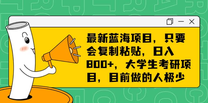 最新蓝海项目，只要会复制粘贴，日入800+，大学生考研项目，目前做的人极少-问小徐资源库
