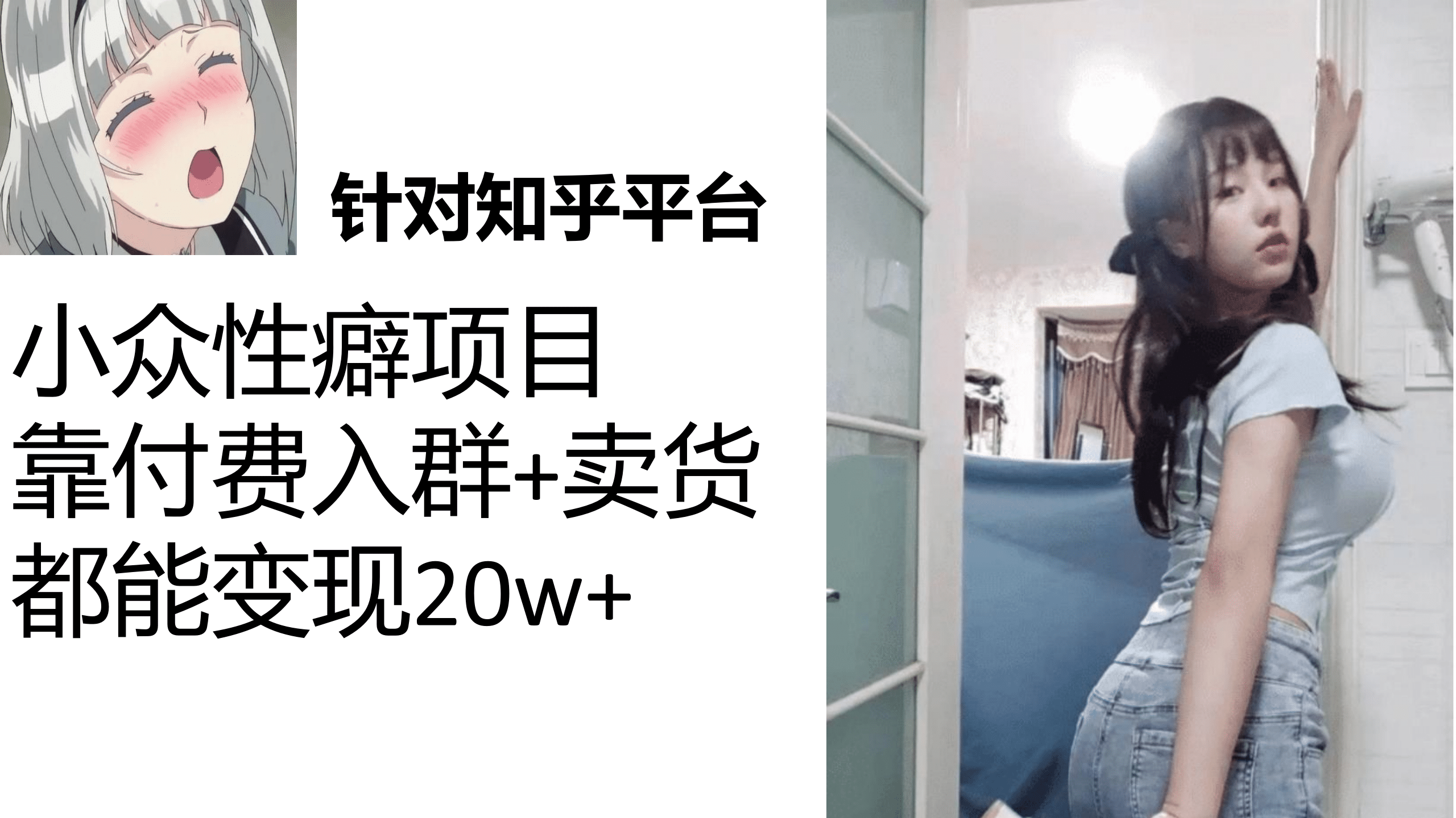 知乎小众性癖项目，Lsp的钱才是最好赚的，付费建群+卖货变现20w-问小徐资源库