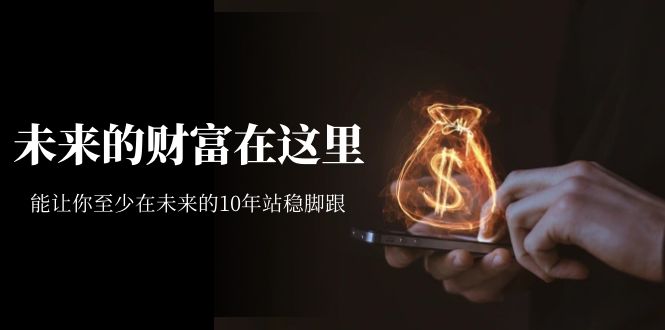 某收费文章《未来的财富在这里》能让你至少在未来的10年站稳脚跟-问小徐资源库