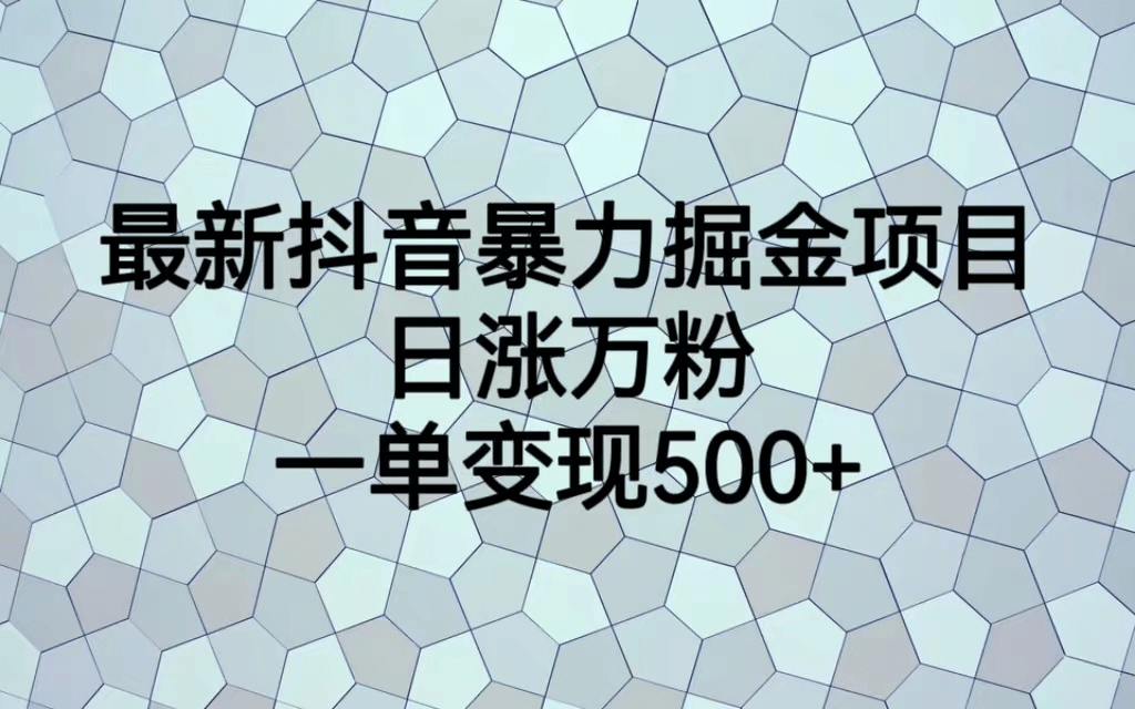 最火热的抖音暴力掘金项目，日涨万粉，多种变现方式，一单变现可达500+-问小徐资源库