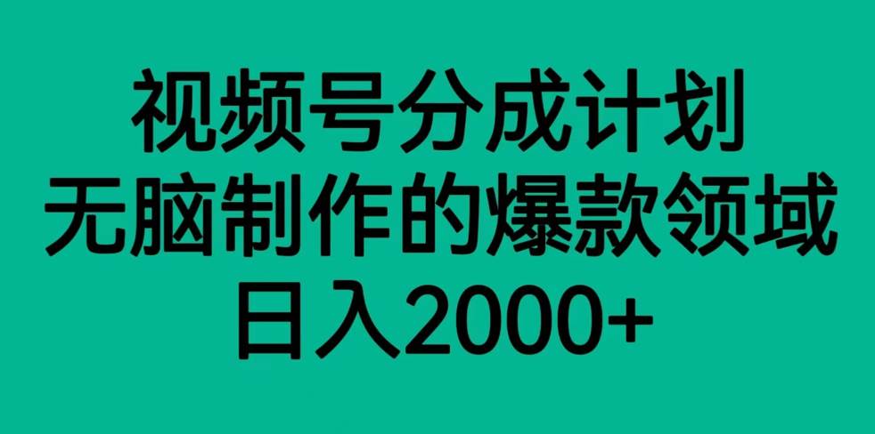 视频号分成计划，轻松无脑制作的爆款领域，日入2000+-问小徐资源库