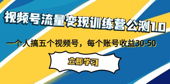 视频号流量变现训练营公测1.0：一个人搞五个视频号，每个账号收益30-50-问小徐资源库