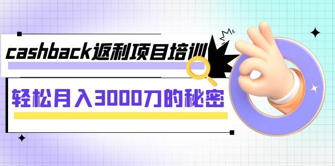 cashback返利项目培训：轻松月入3000刀的秘密（8节课）-问小徐资源库