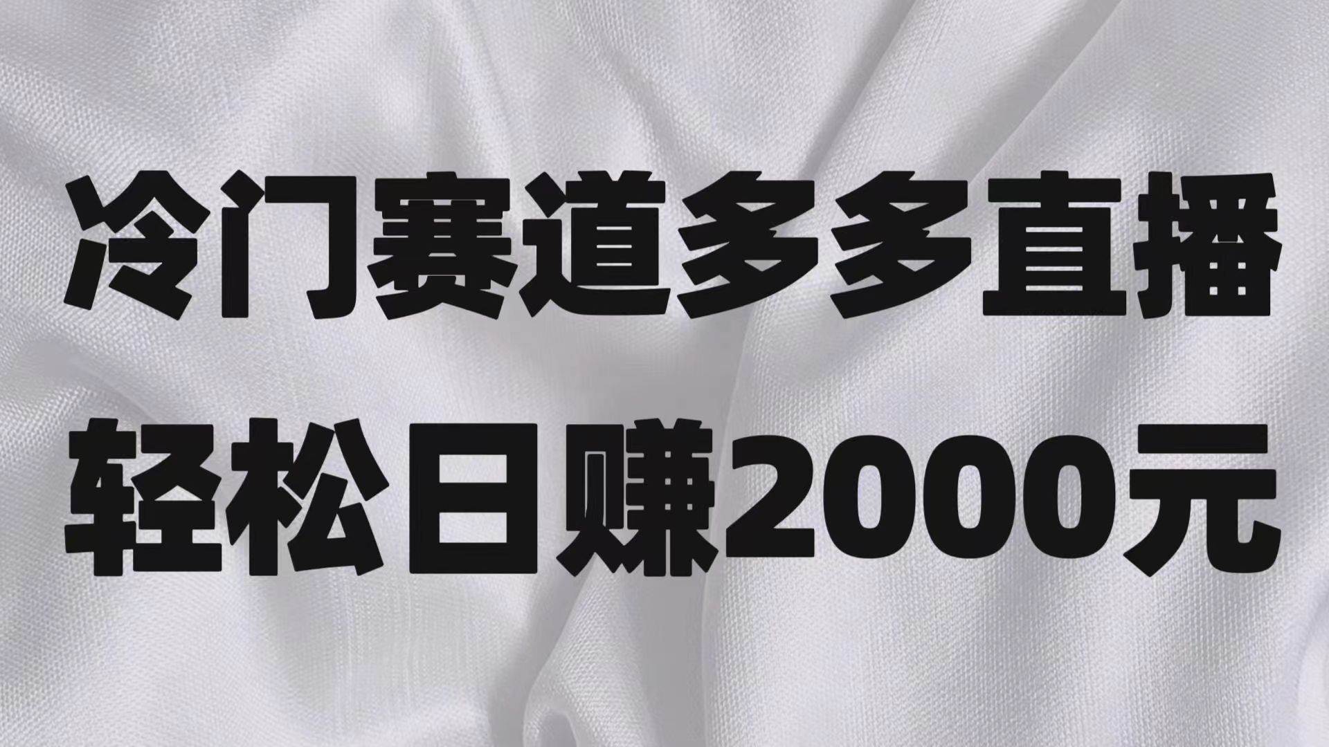 冷门赛道拼多多直播项目，简单念稿子，日收益2000＋-问小徐资源库