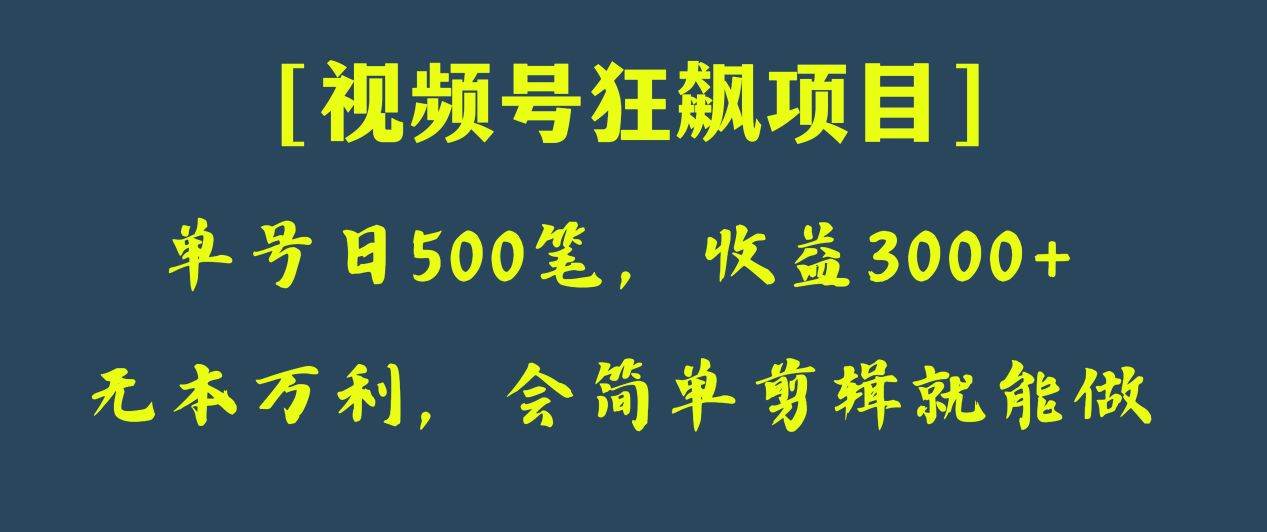 日收款500笔，纯利润3000+，视频号狂飙项目！-问小徐资源库