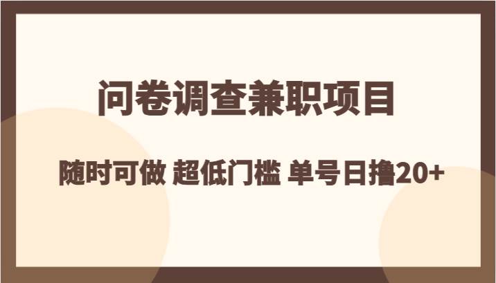 问卷调查兼职项目，随时可做 超低门槛 单号日撸20+-问小徐资源库