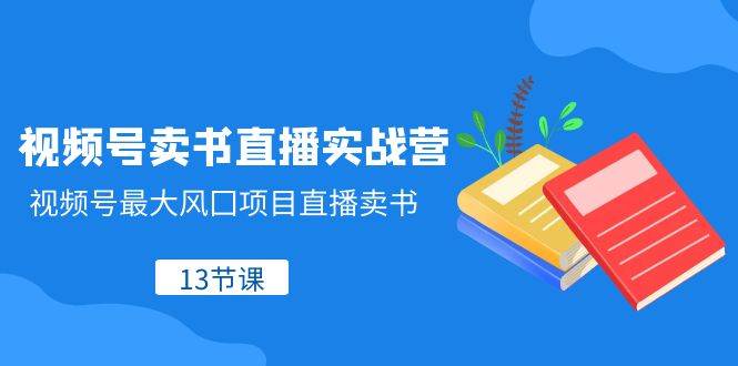 视频号卖书直播实战营，视频号最大风囗项目直播卖书（13节课）-问小徐资源库