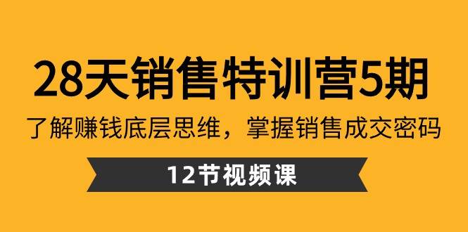 28天销售特训营5期：了解赚钱底层思维，掌握销售成交密码（12节课）-问小徐资源库