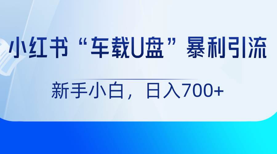 小红书“车载U盘”项目，暴利引流，新手小白轻松日入700+-问小徐资源库