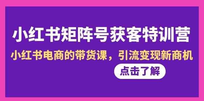 小红书矩阵号获客特训营-第10期，小红书电商的带货课，引流变现新商机-问小徐资源库