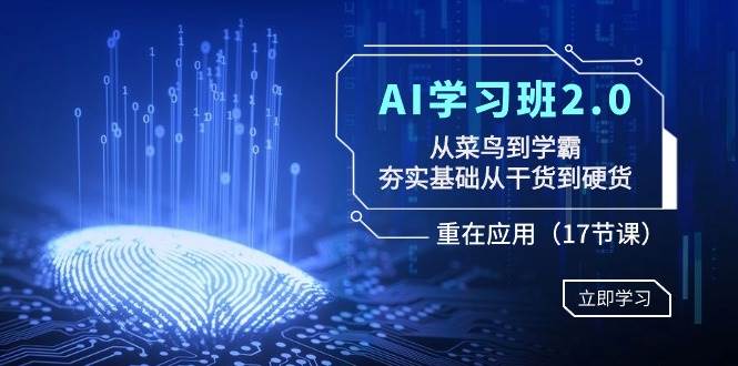 AI学习班2.0：从菜鸟到学霸，夯实基础从干货到硬货，重在应用（17节课）-问小徐资源库