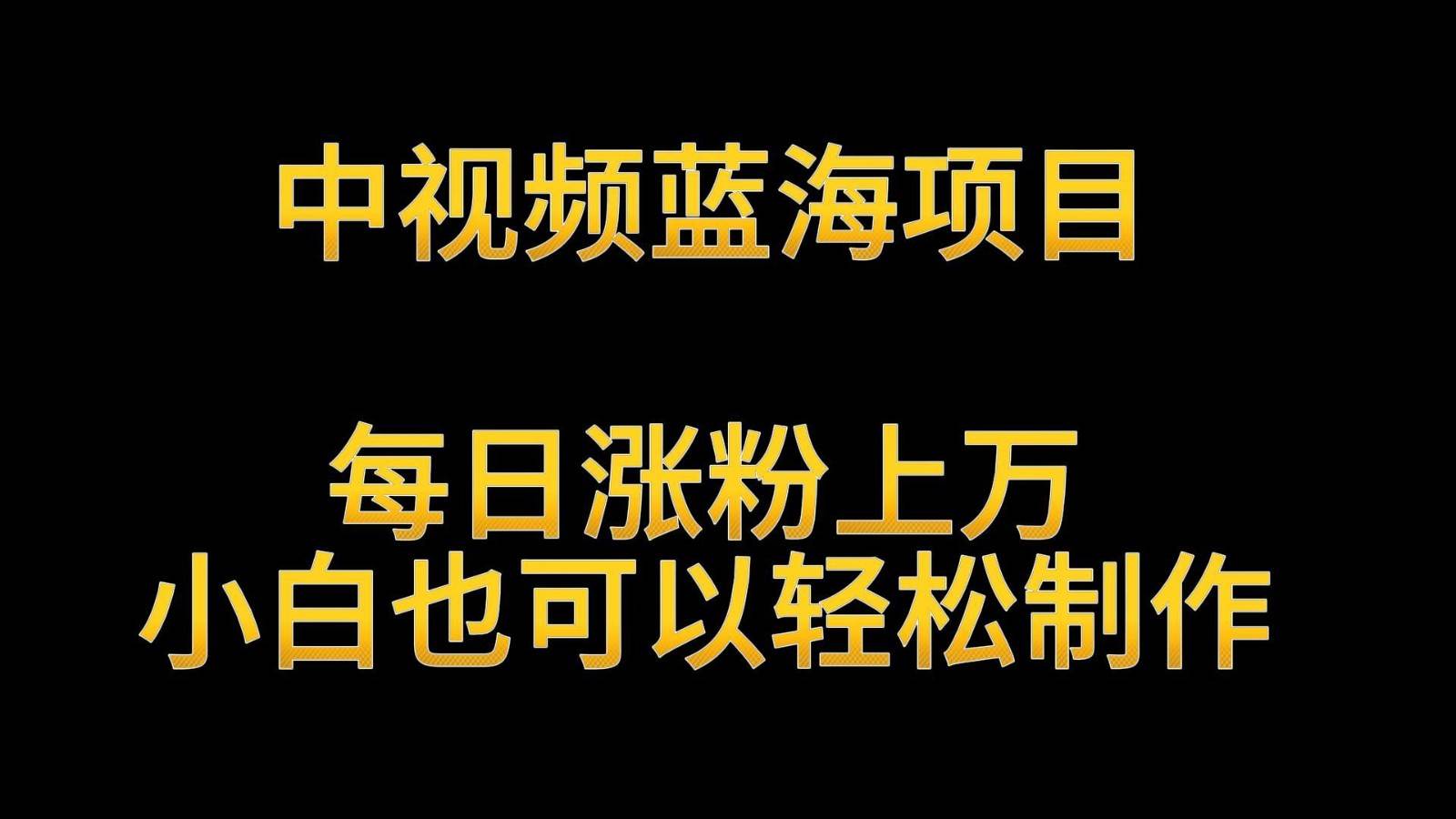 中视频蓝海项目，解读英雄人物生平，每日涨粉上万，小白也可以轻松制作，月入过万-问小徐资源库